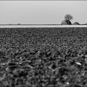 Feldmark (1 von 1).JPG