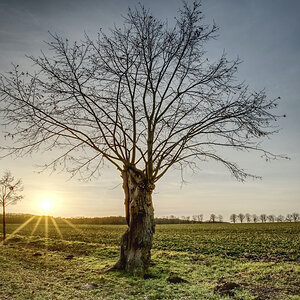HDR11.jpeg