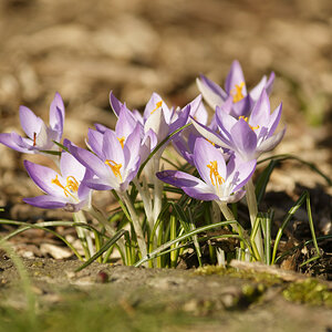 _DSC8887NF.jpg