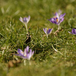 _DSC8891NF.jpg