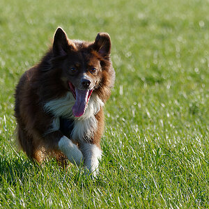 PANA8200_DxO1200.jpg