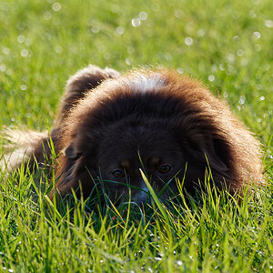 PANA8461_DxO1200.jpg