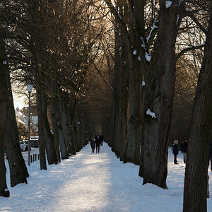 Winter-2021-108.jpg