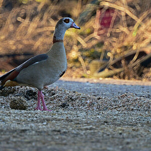 811_7025at5l10fks70p1.jpg