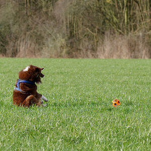 PANA6802_DxO1200.jpg