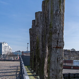210220 Weserdeich Bremerhaven-3.jpg