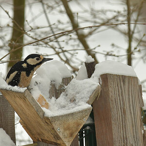 NF_DSC_6180.jpg