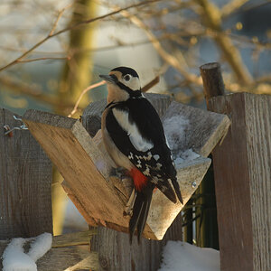 NF_DSC_6333.jpg