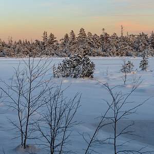 Wildsee-Kaltenbronn Z6-4069.jpg