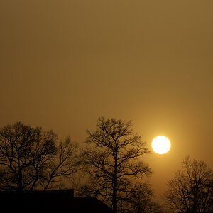 TSF 2021 045.jpg