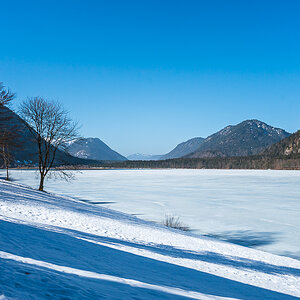_DSC5450.jpg