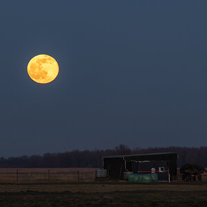 210227 Mond Wiemsdorf-1.jpg
