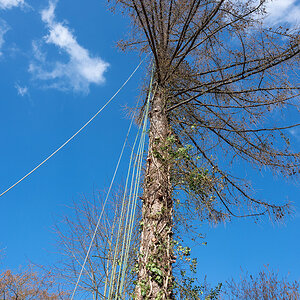 Z6H_0090.jpg
