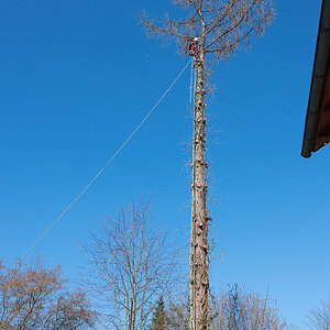 Z6H_0103.jpg