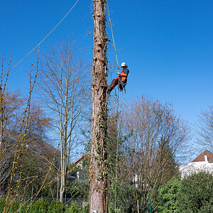 Z6H_0118.jpg