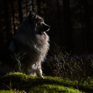 _DSC0400-Bearbeitet-1.jpg