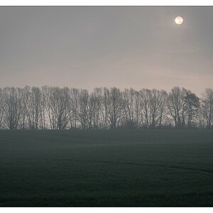 Morgenlicht und Nebel