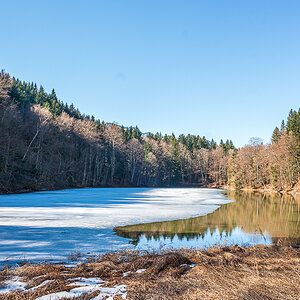 _DSC5485.jpg