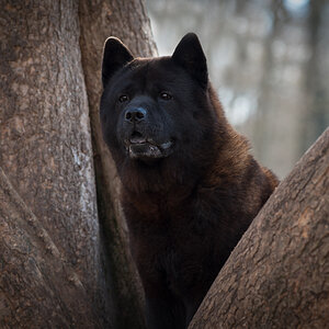 uligraphie_DSC_9580.jpg