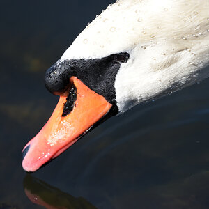 Gesichter_00001DSC_0992.jpg