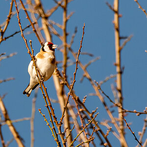 DSC_1799-2.jpg