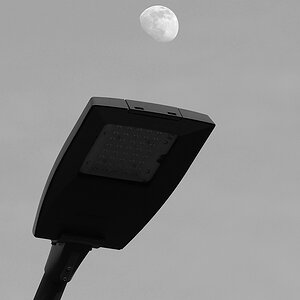 _2230166mMSWAxl.jpg