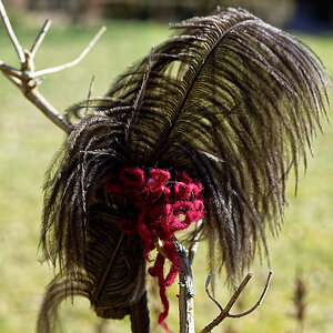 Vogelnestauspolsterungsvorratsangebot im Garten.jpg