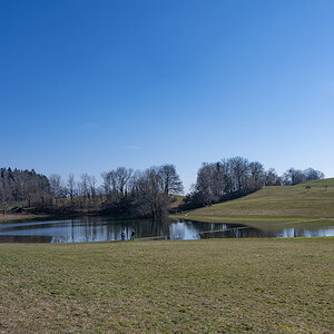 Z7H_0984.jpg