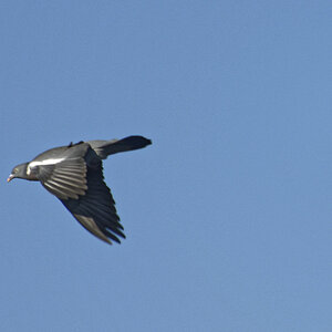 _DSC8925NF.jpg