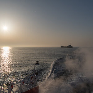 210303 Majestic Maersk Odyssey of the Seas-5.jpg
