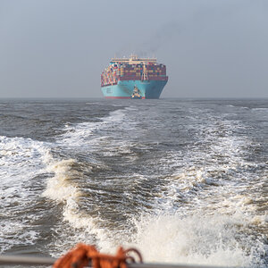 210303 Majestic Maersk Odyssey of the Seas-9.jpg