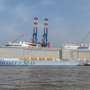 210303 Majestic Maersk Odyssey of the Seas-11.jpg