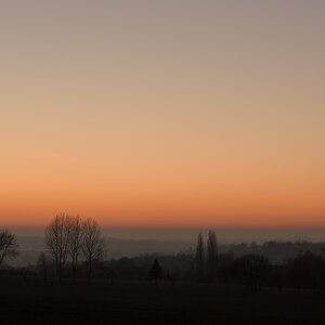 DSC_1587_00001_03 (3)n.jpg