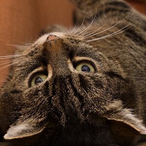 DSC_1509_00001 (2)n.jpg