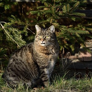 DSC_1533_00001n.jpg