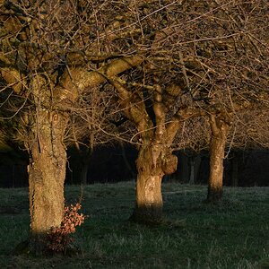 DSC_1577_00001n3.jpg