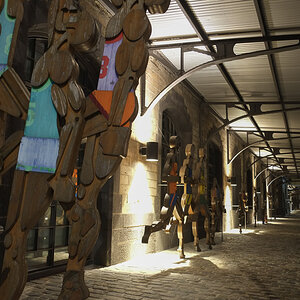 DSCF0725-1.jpg