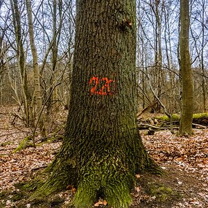 TZ_DSC02680_A.jpg