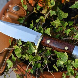 Westmark Bowie - Verkleinert.jpg