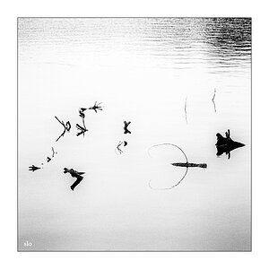 69/365