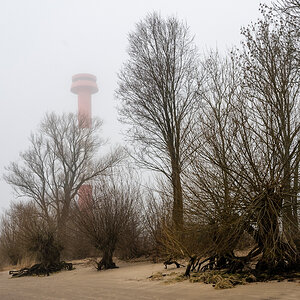 Die Sonne braucht noch etwas, den Nebel aufzukochen