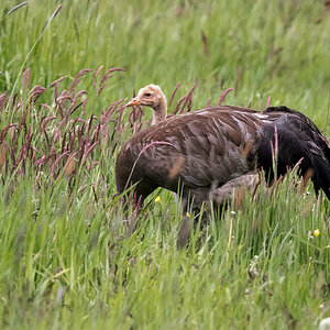 D50_5654_gut versteckt IA_5_2020.jpg