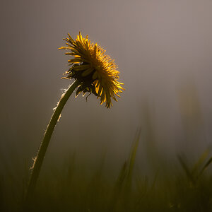 _DSC5932-Bearbeitet-1.jpg