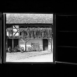 DSC_4651-Bearbeitet.jpg
