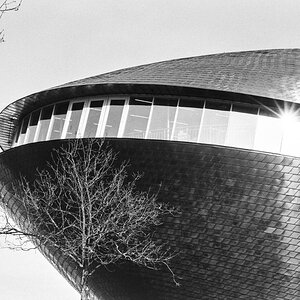 20210313-008.jpg