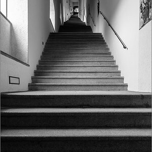 D75_0513.jpg