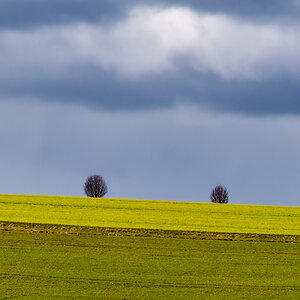 Blaugelbgrün