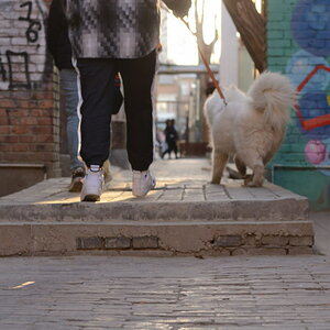 DSC_8778_01.JPG