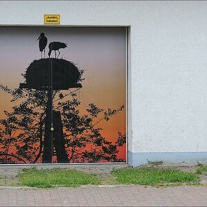 comp_DSC17248 - Zingst.jpg