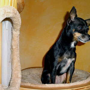 20130422 1.jpg